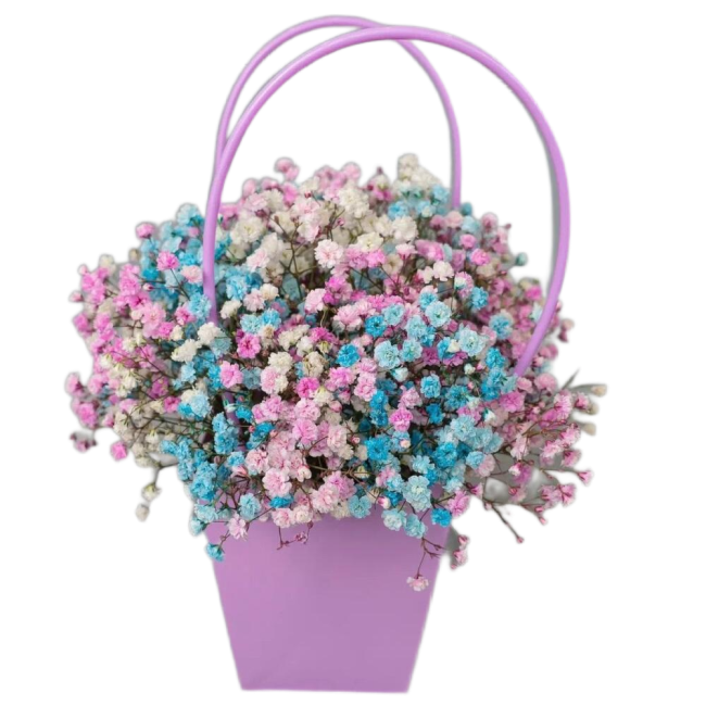 Букет цветов "Сумочка с разноцветной гипсофилой"